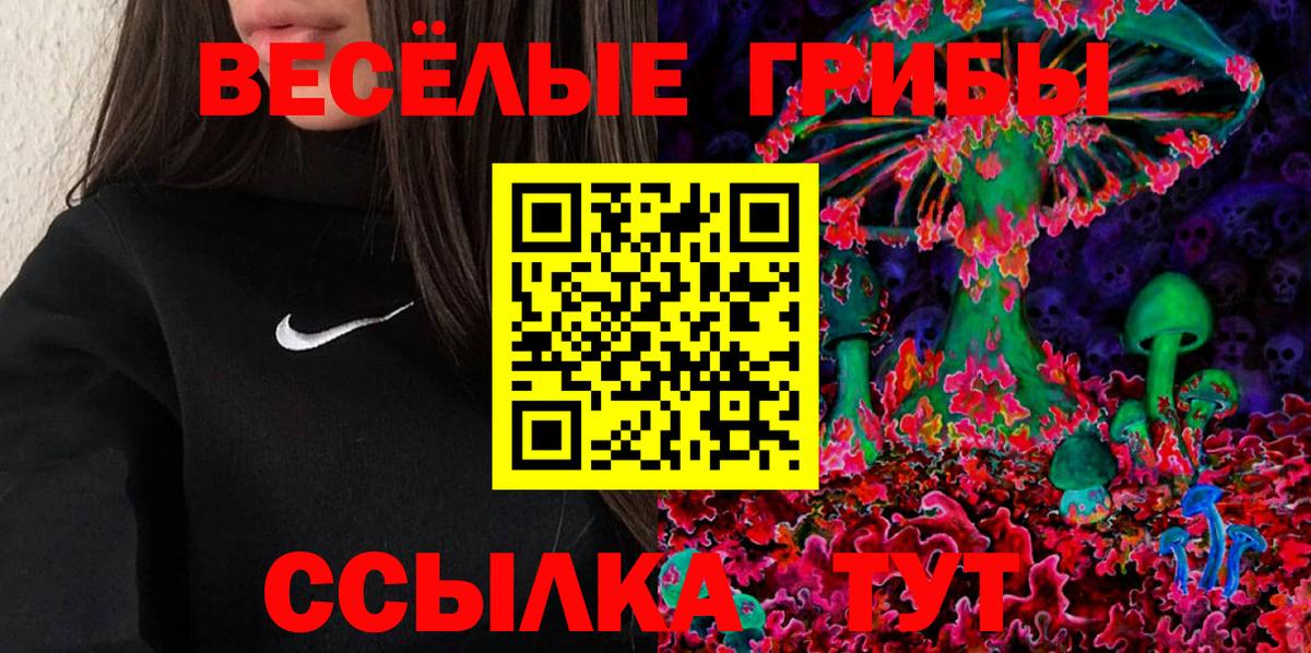 Псилоцибиновые грибы Psilocybine cubensis  Вход с VPN  Псилоцибиновые грибы мицелий  Якутск 