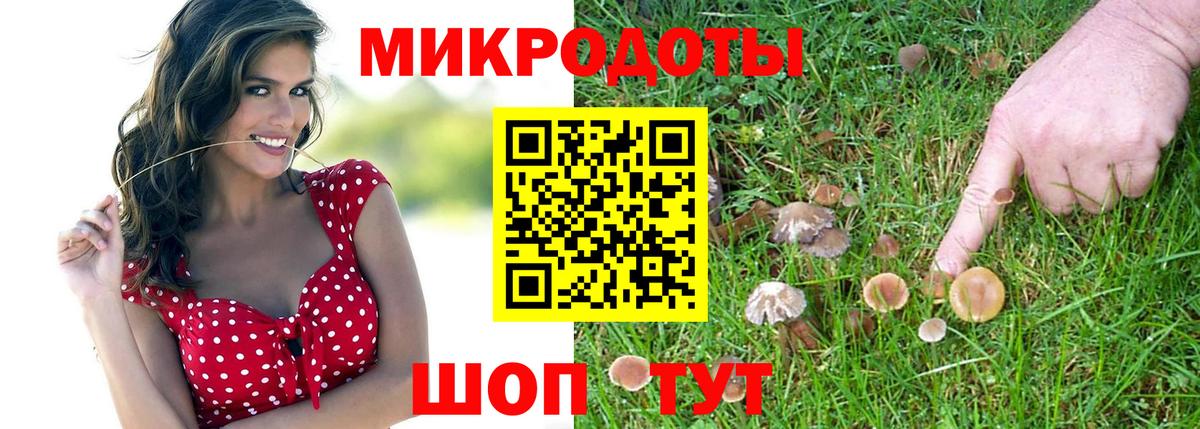 Псилоцибиновые грибы мухоморы Якутск