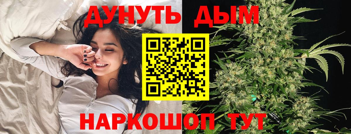 Конопля OG Kush  Марихуана Ganja  Якутск  Вход с VPN  Каннабис планчик 